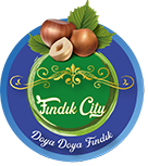 FINDIK CİTY